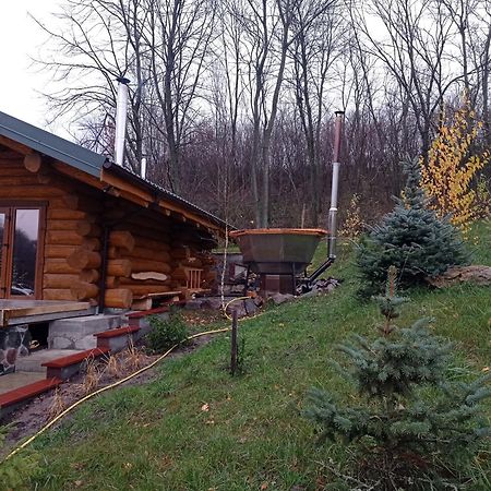 Zelenaya Usad'Ba Stavbor Zavadivka Esterno foto