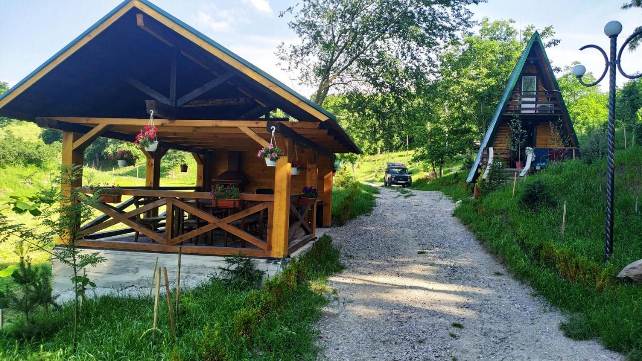 Zelenaya Usad'Ba Stavbor Zavadivka Esterno foto