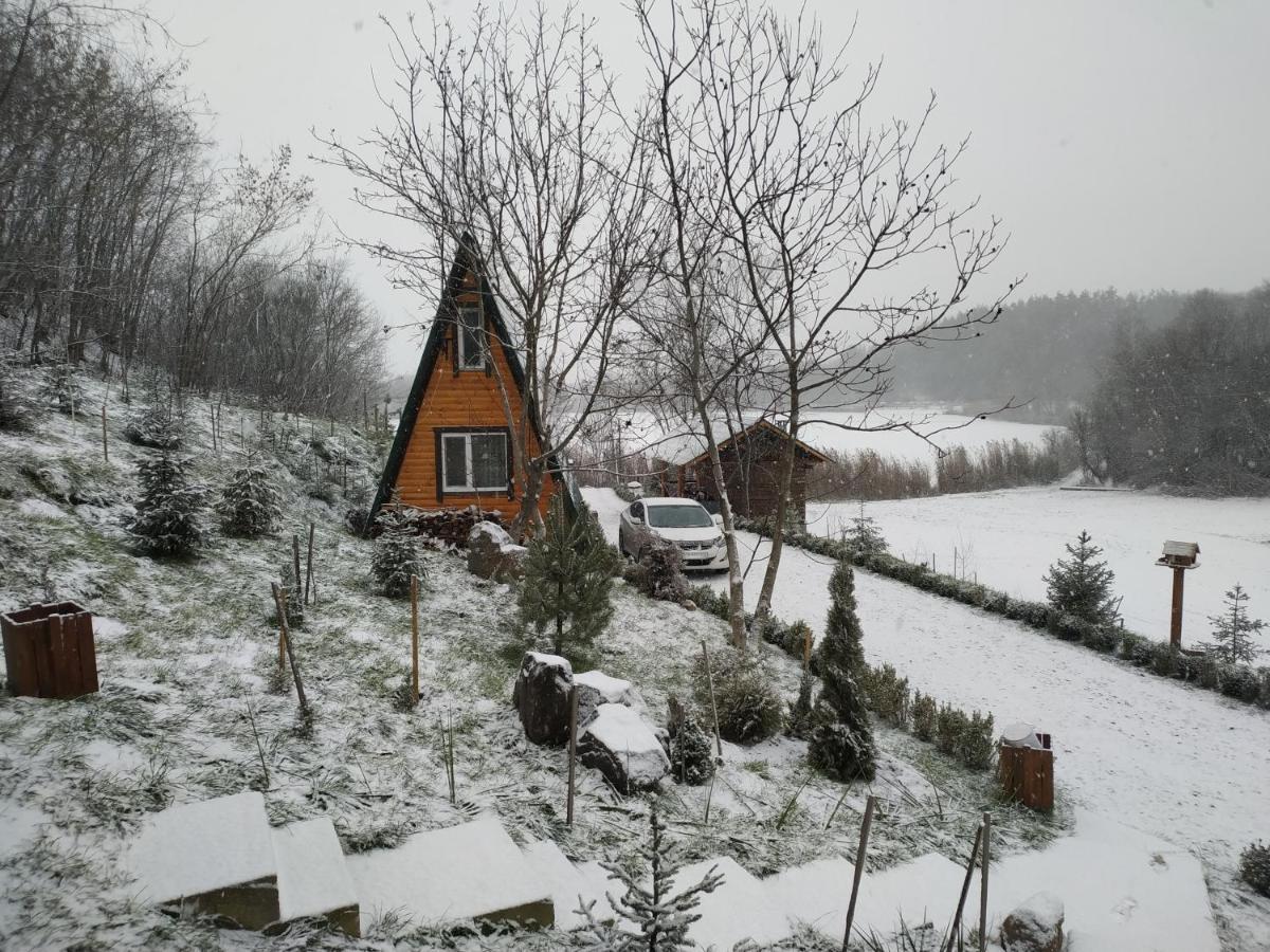 Zelenaya Usad'Ba Stavbor Zavadivka Esterno foto